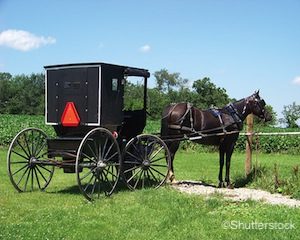 Amish County Wisconsin