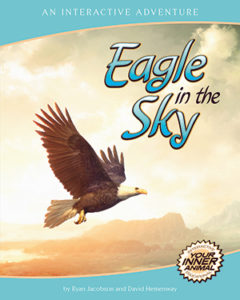 Eagle in the Sky