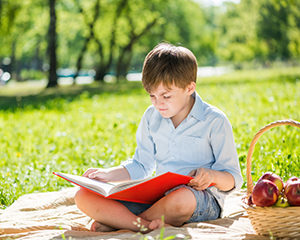 Boy summer reading