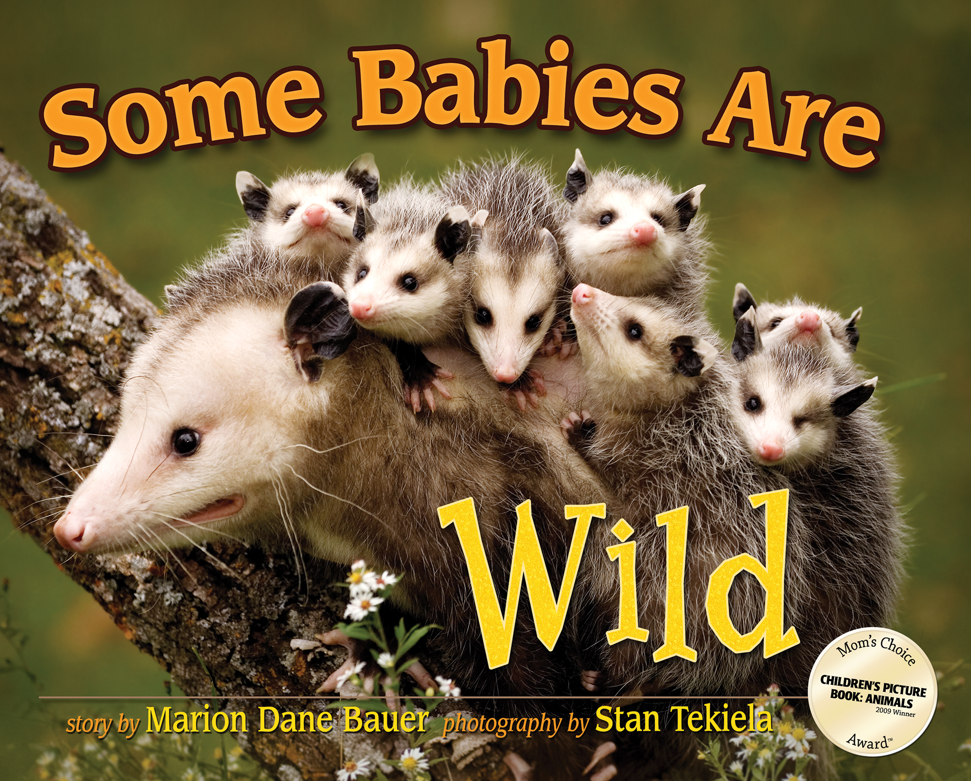 Some Babies Are Wild