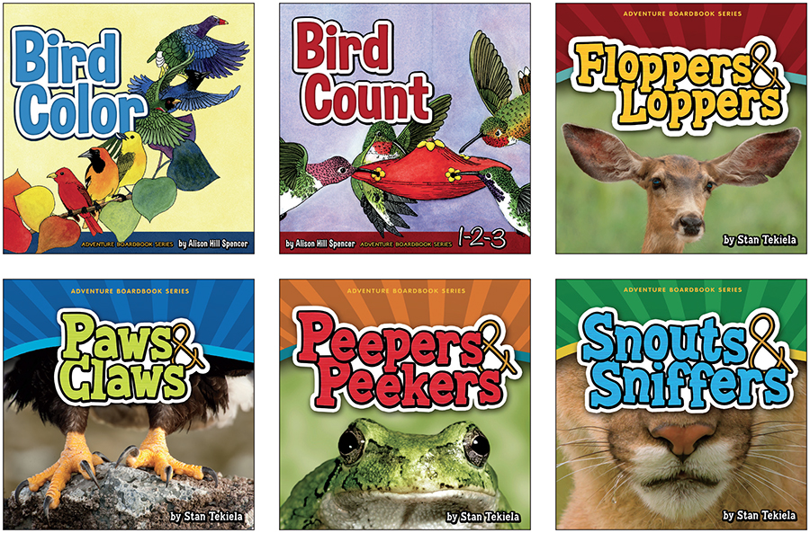 Adventure Board Book Series