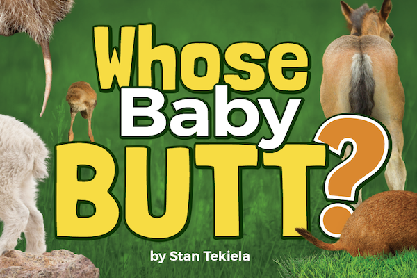 Whose Baby Butt?