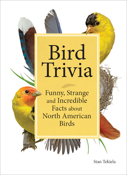 Bird Trivia