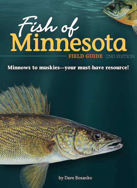 Fish of Minnesota Field Guide - Adventure Publications