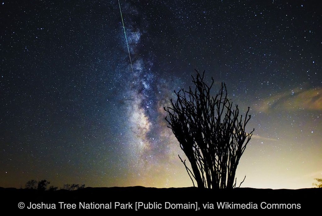 Perseids Meteor Shower