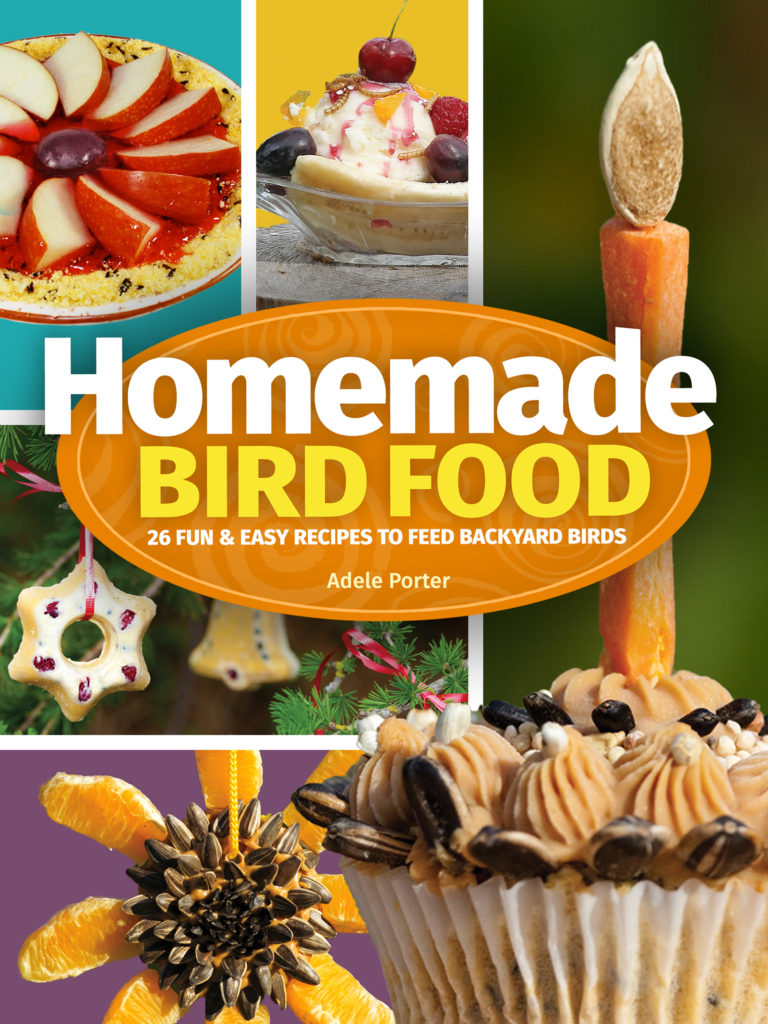 Homemade Bird Food Cover