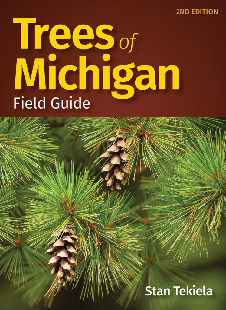 Trees of Michigan