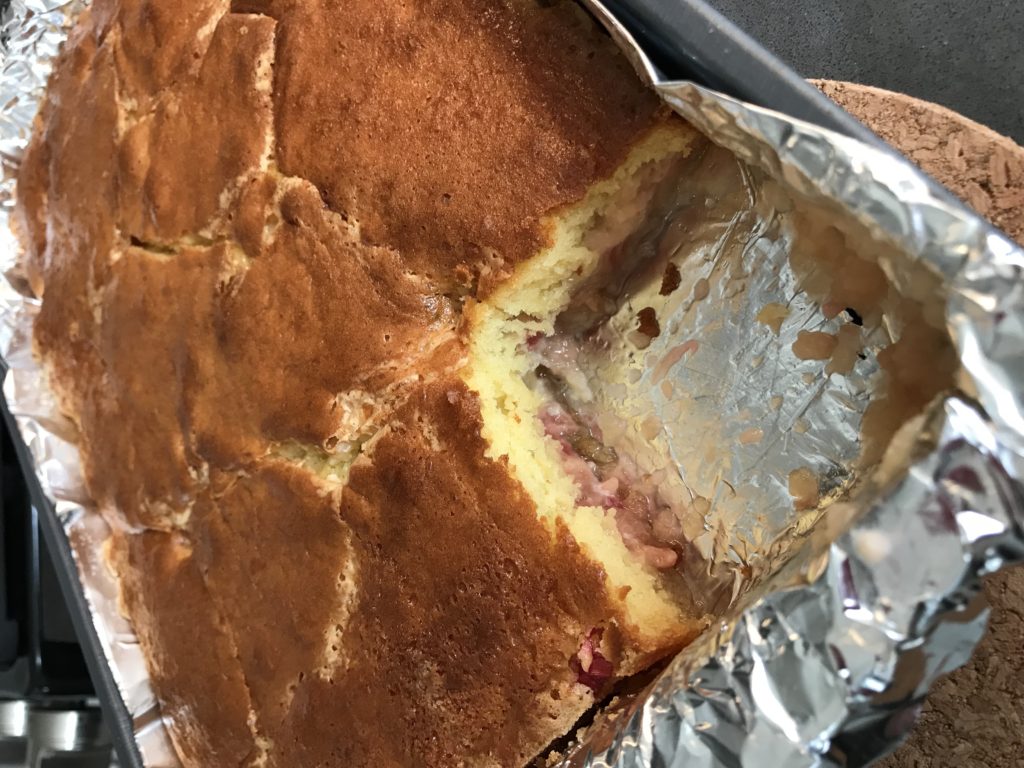 Rhubarb Custard Cake