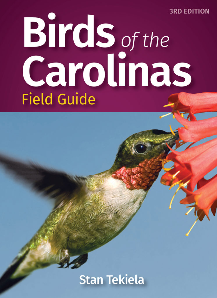 Birds of the Carolinas