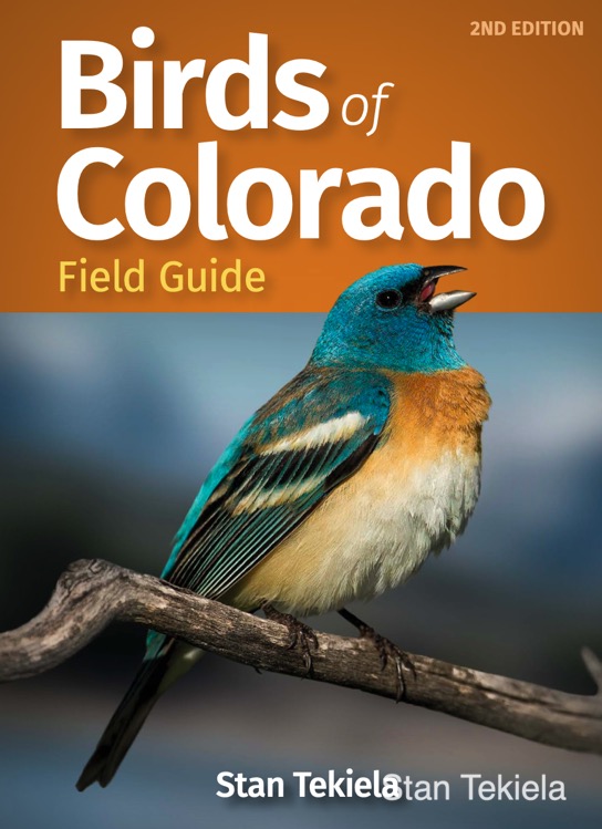 Birds of Colorado