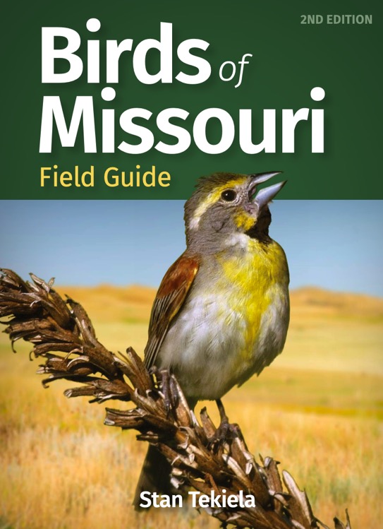 Birds of Missouri