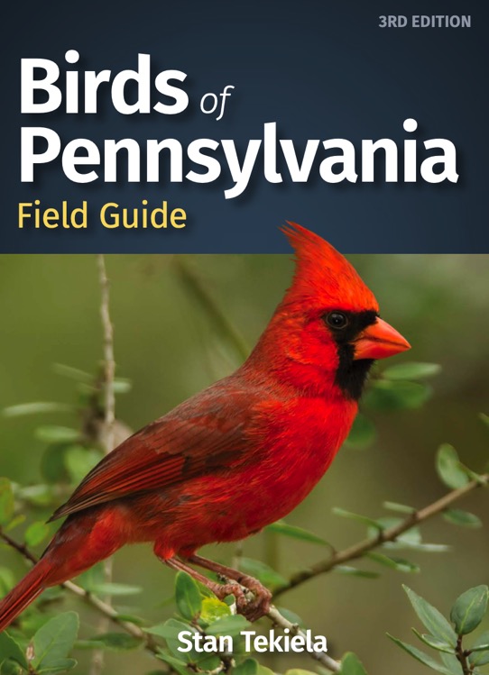 Birds of Pennsylvania