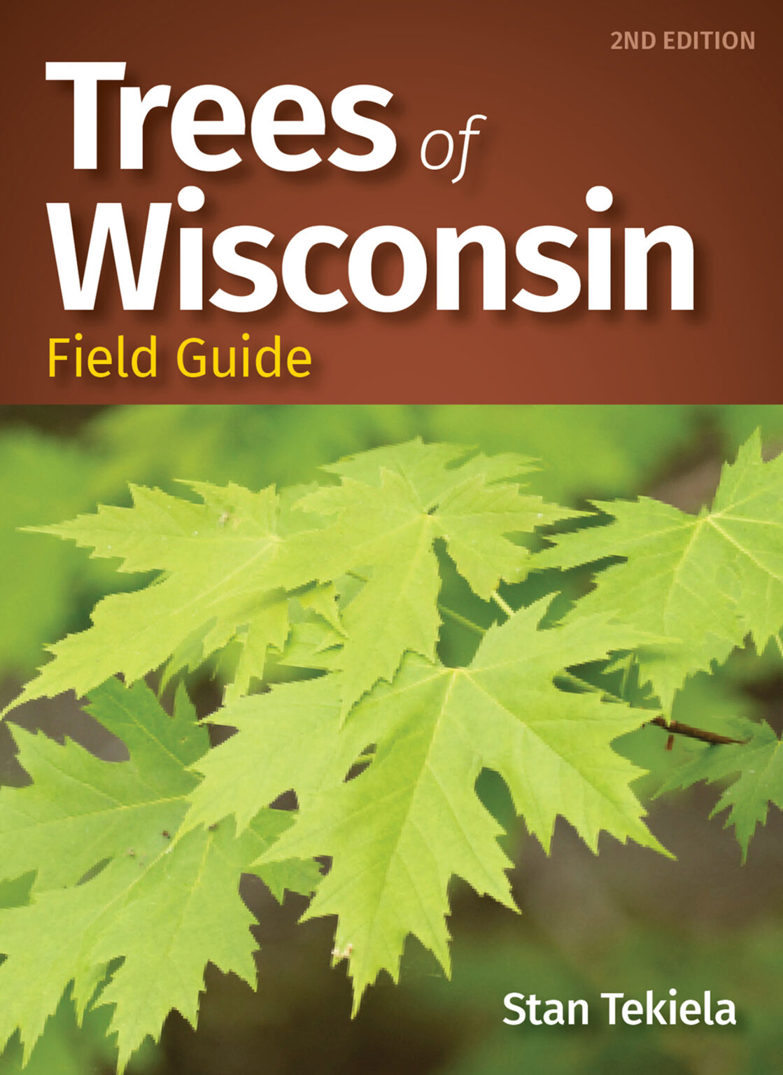 With Trees of Wisconsin, Tree Identification is Made Easy - Adventure ...