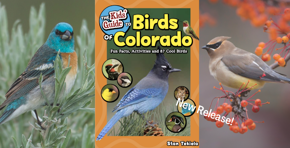 Kids Guide Birds of CO Banner