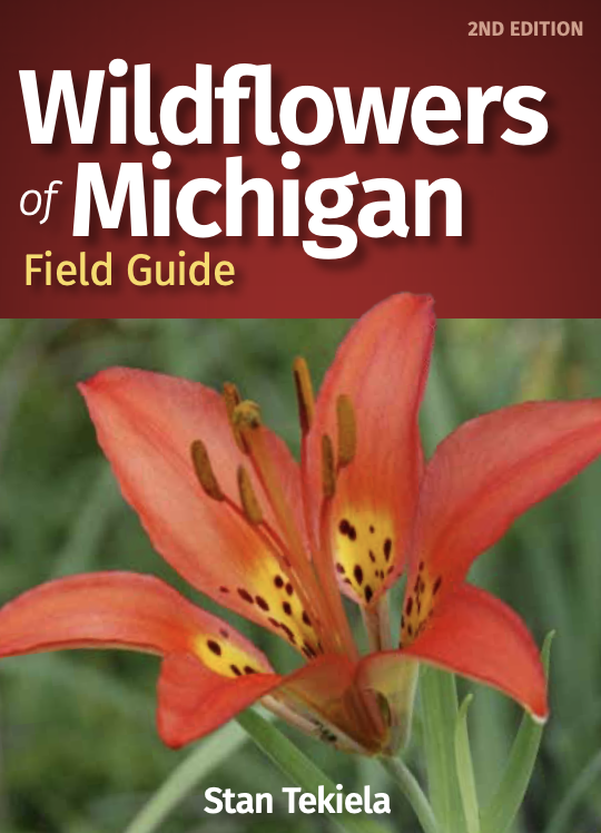 Wildflowers of Michigan