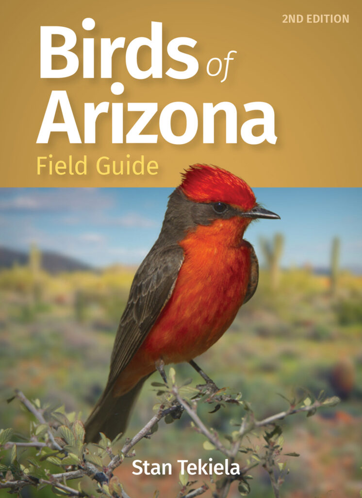 Birds of Arizona