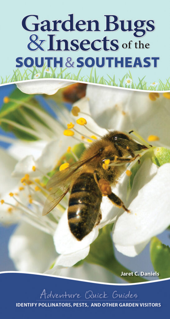 Garden Bugs