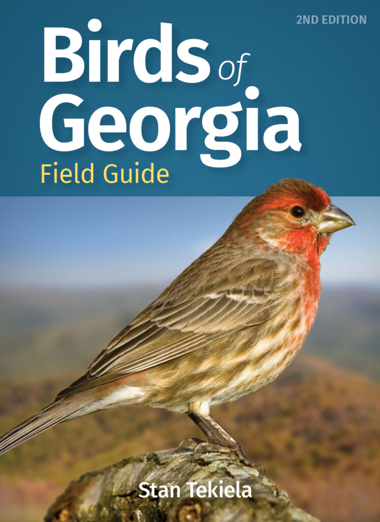 Birds of Georgia