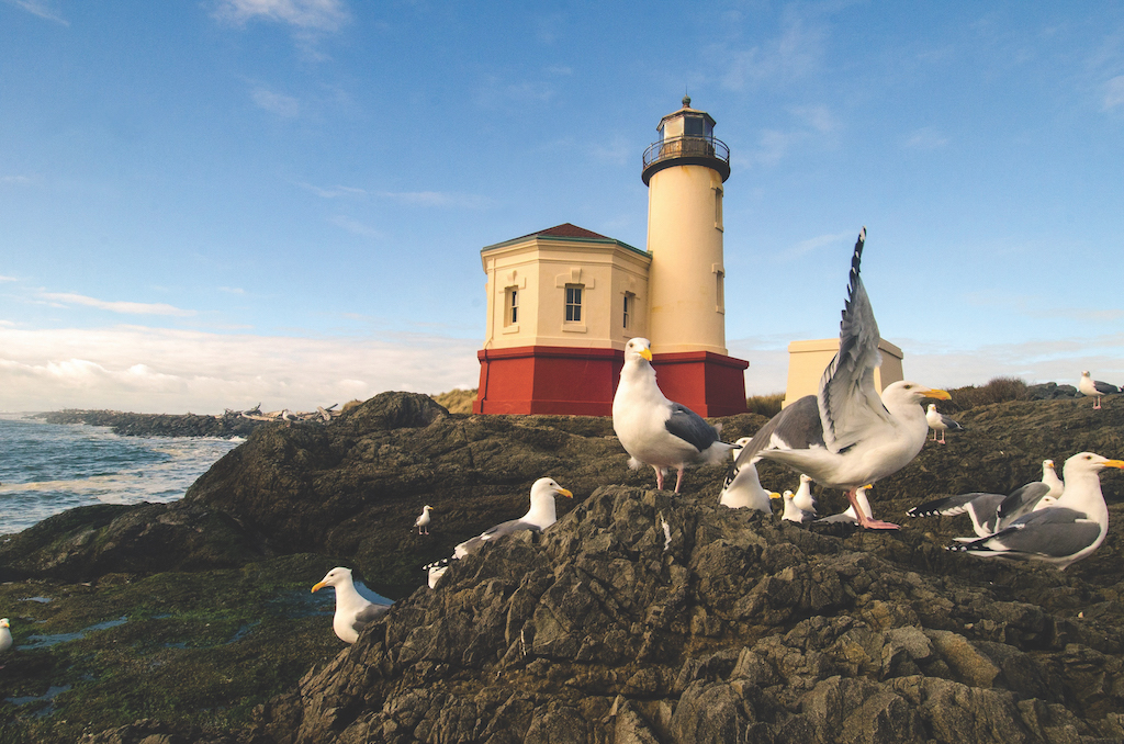 lighthouses