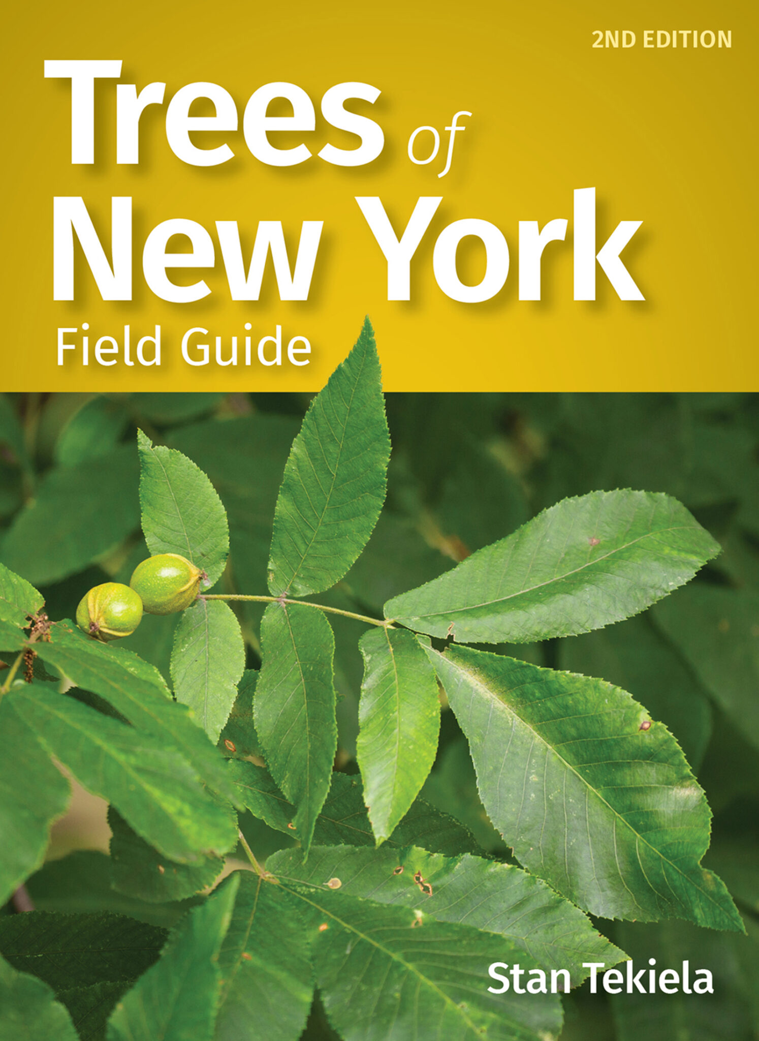 Learn to Identify the Trees of New York Adventure Publications