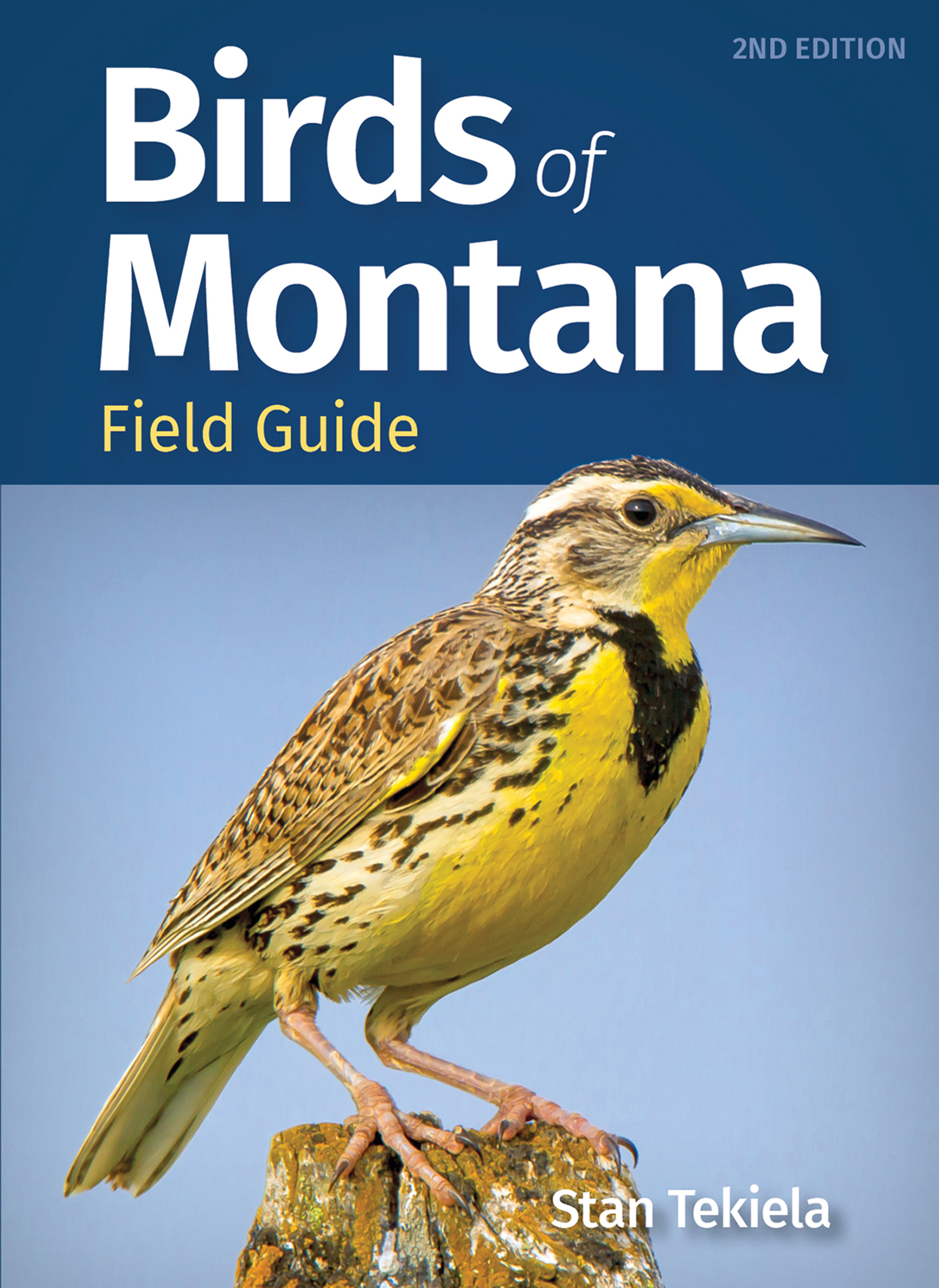 Birds of Montana Field Guide is for those who Want to Identify the ...