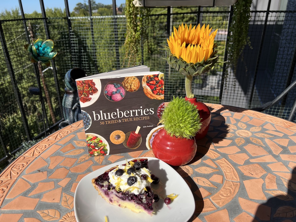 Blueberry-Buttermilk Pie Recipe