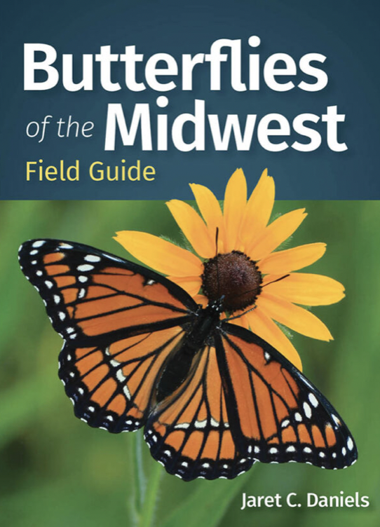 Bufferlies of the Midwest