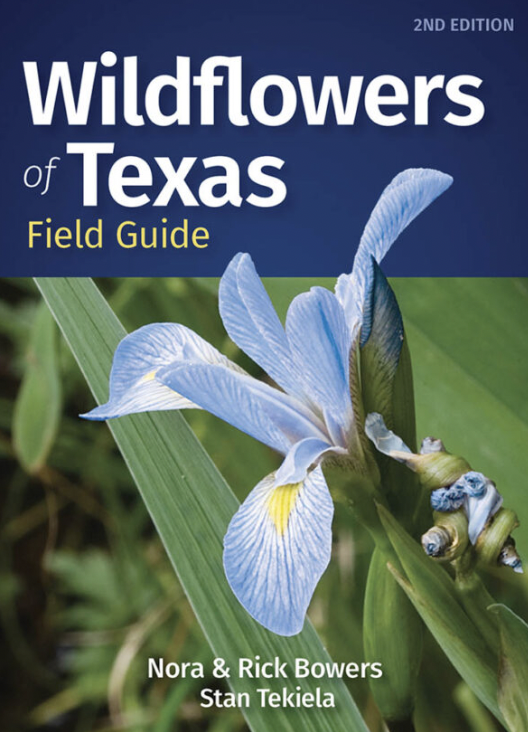 Wildflowers of Texas 