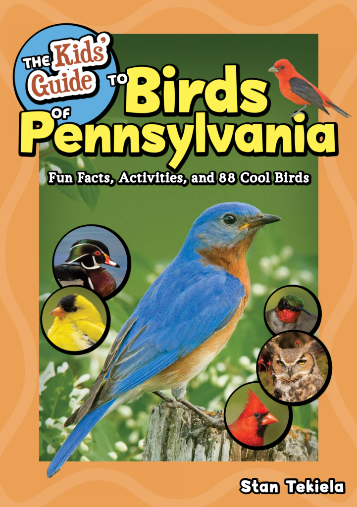 Birds of Pennsylvania