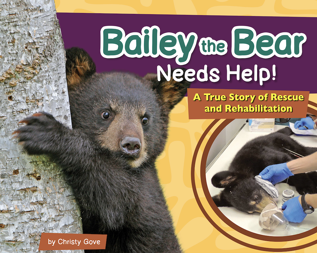 Bailey the Bear