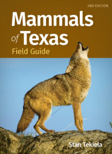 Mammals of Texas