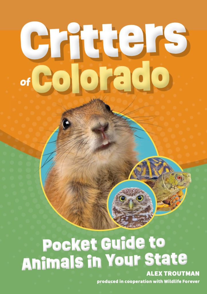 Critters of Colorado