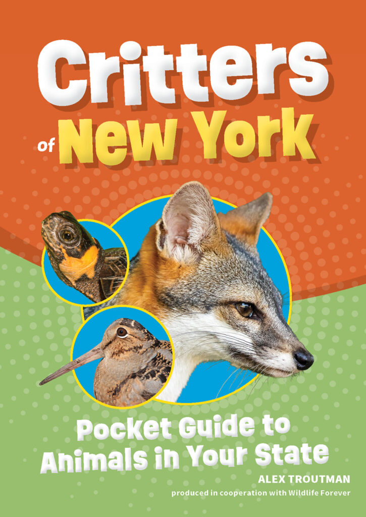 Critters of New York