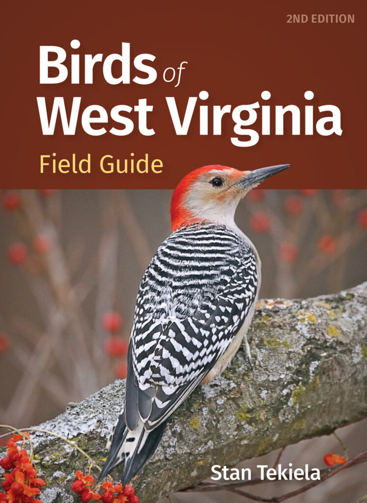 Birds of West Virginia