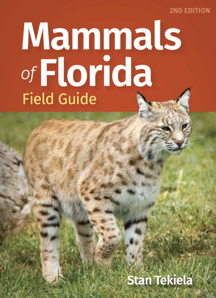 Mammals of Florida 