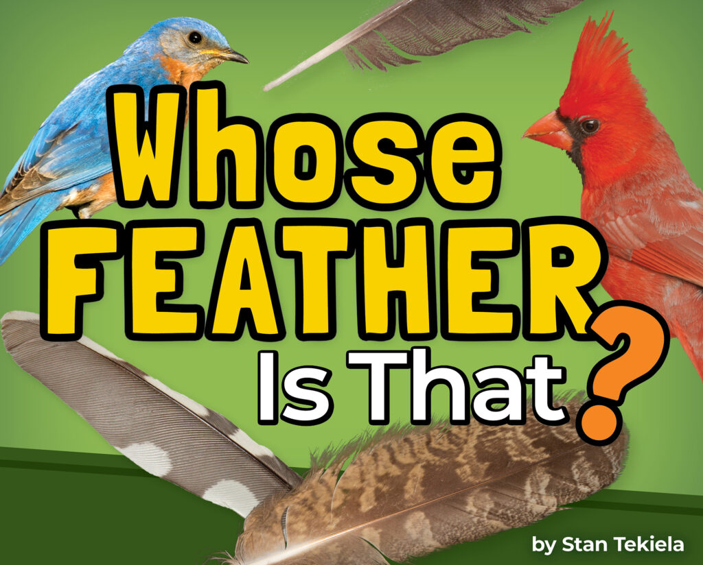 Whose Feather Is That?