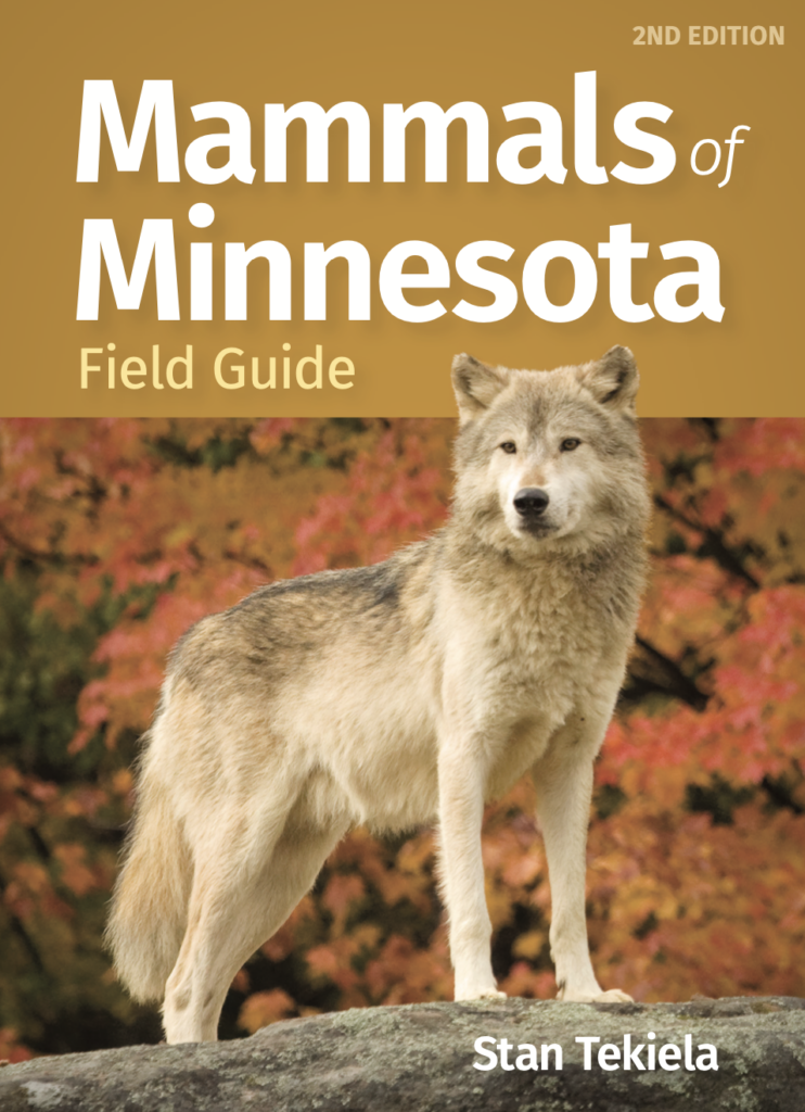 Mammals of Minnesota