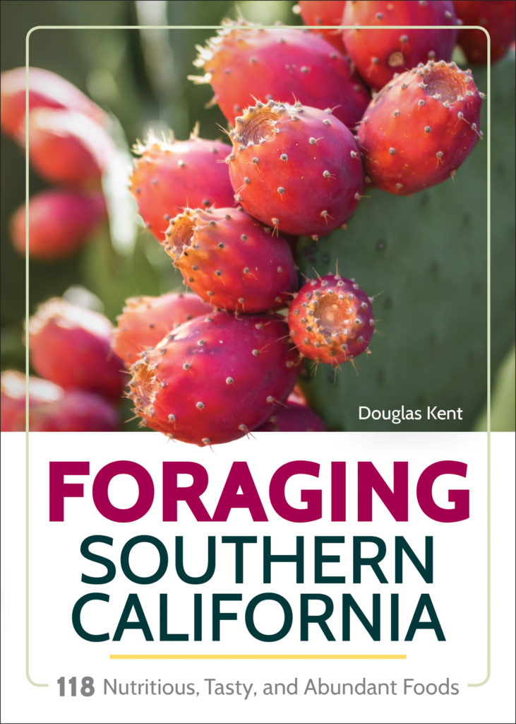 Foraging Southern California