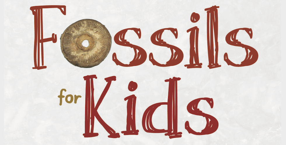 Fossils for Kids banner