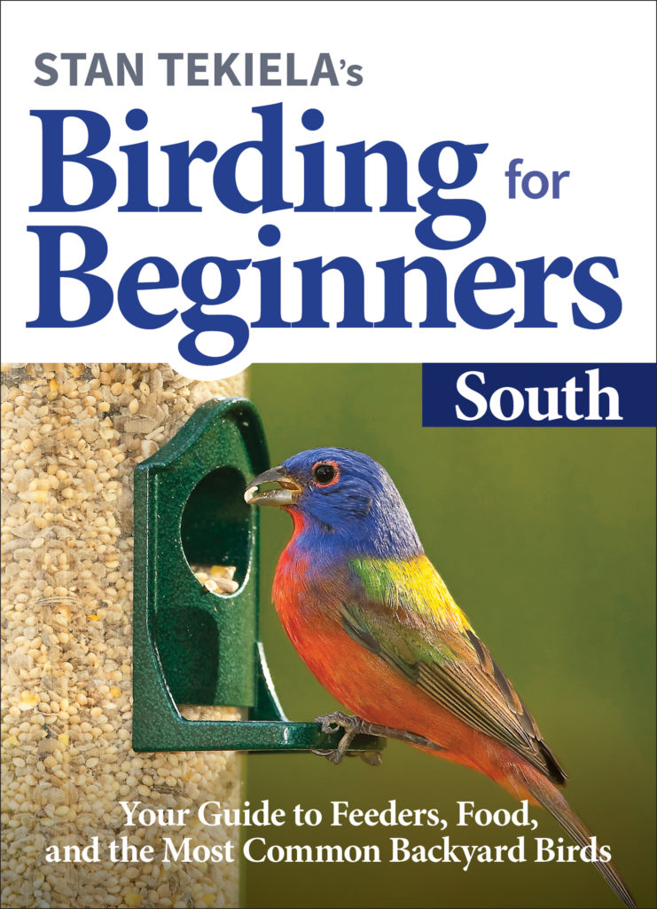 Birding for Beginners South