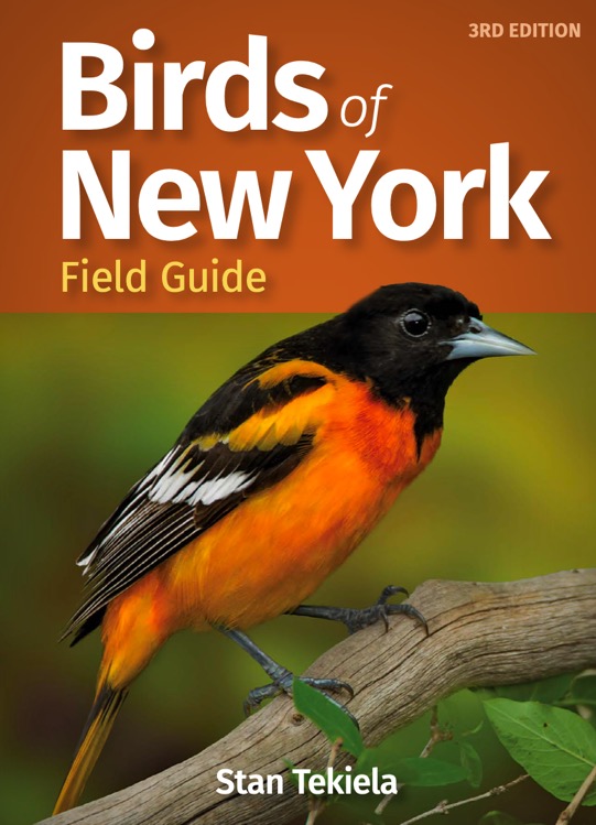 Birds of New York cover