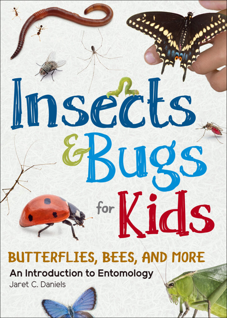Insect & Bugs for Kids