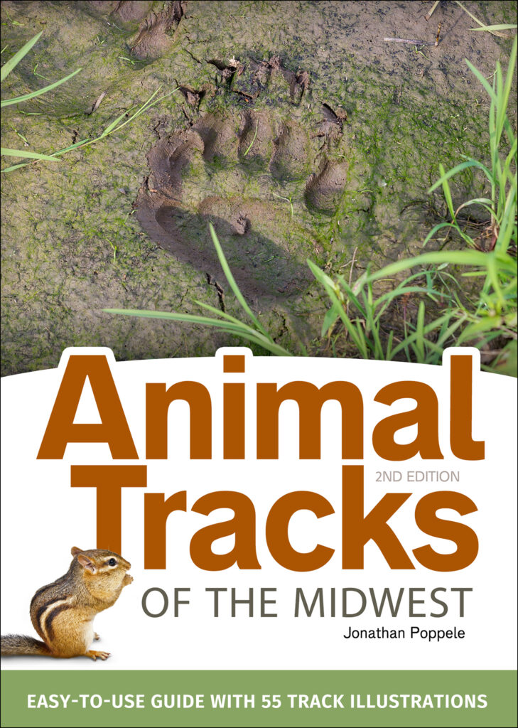 Animal Tacks of the Midwest