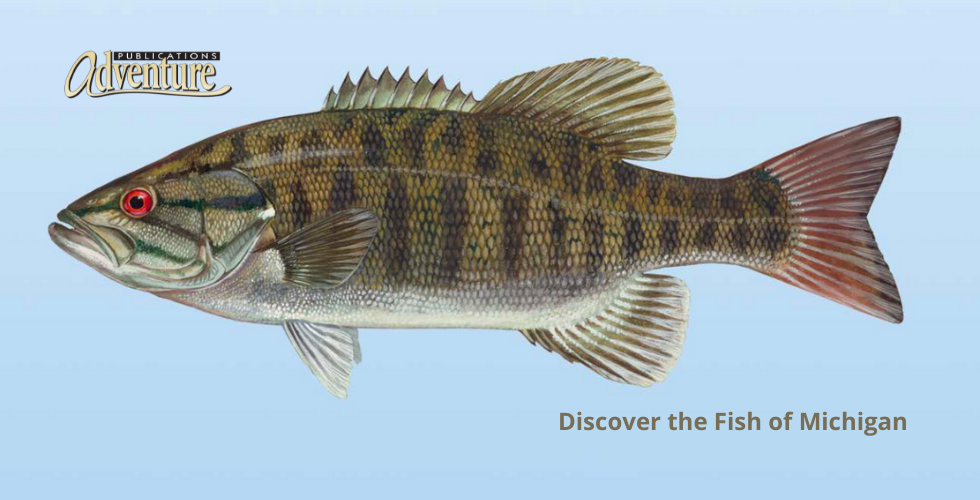 Fish of Michigan